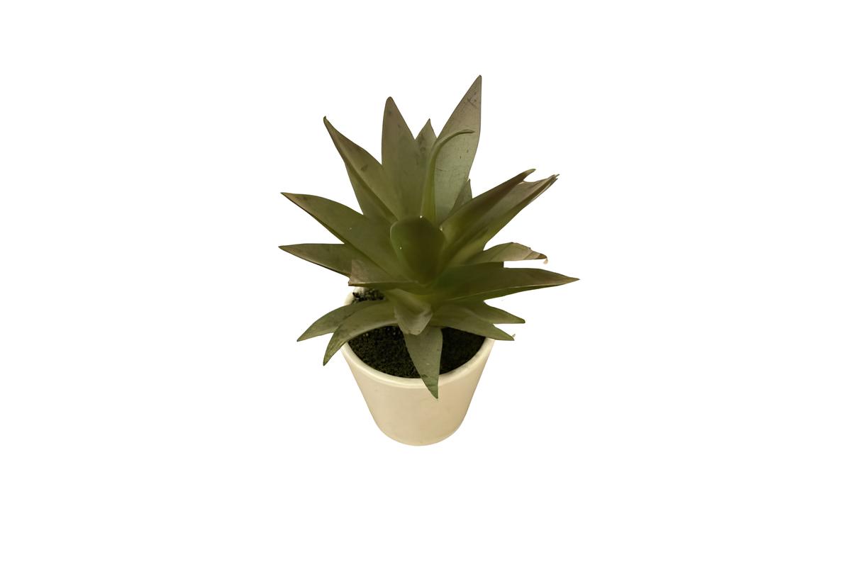 Succulent Agave Artifisial